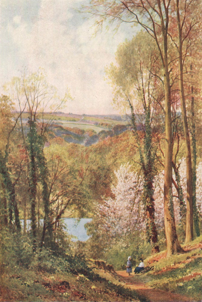 Quarry Woods, near Marlow, Buckinghamshire, by Harold Sutton Palmer 1929 print